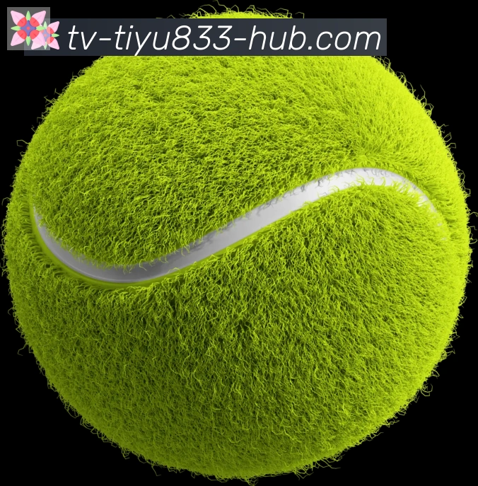 833体育直播品牌故事